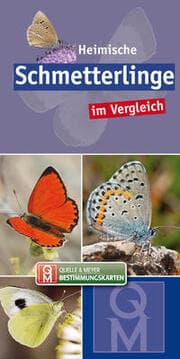 Cover von Heimische Schmetterlinge im Vergleich