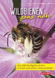 Cover von Wildbienen ganz nah