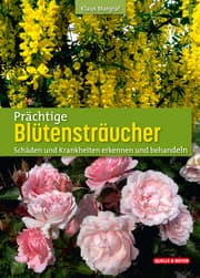Cover von Prächtige Blütensträucher