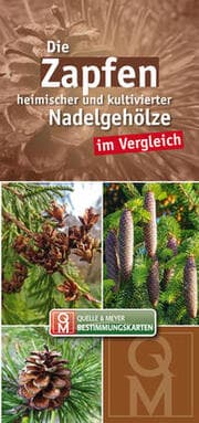Cover von Die Zapfen heimischer und kultivierter Nadelgehölze im Vergleich