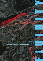 Cover von Fluidity
