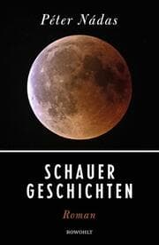 Cover von Schauergeschichten