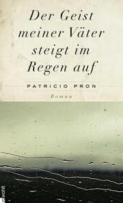 Cover von Der Geist meiner Väter steigt im Regen auf