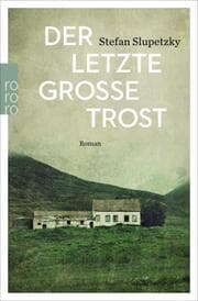 Cover von Der letzte große Trost