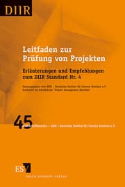 Cover von Leitfaden zur Prüfung von Projekten