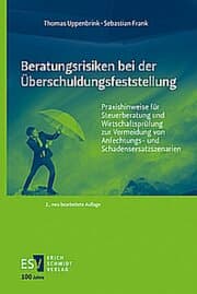 Cover von Beratungsrisiken bei der Überschuldungsfeststellung