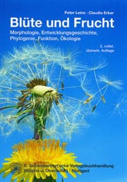 Cover von Blüte und Frucht