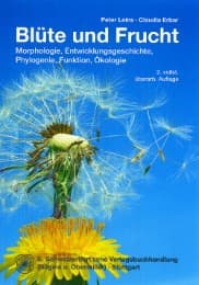 Cover von Blüte und Frucht