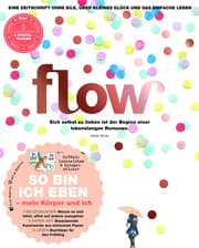 Cover von Flow Nummer 41