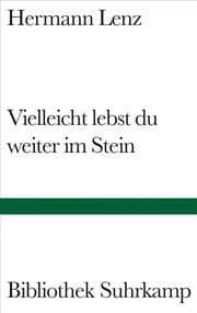 Cover von Vielleicht lebst du weiter im Stein