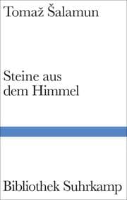 Cover von Steine aus dem Himmel
