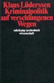 Cover von Kriminalpolitik auf verschlungenen Wegen