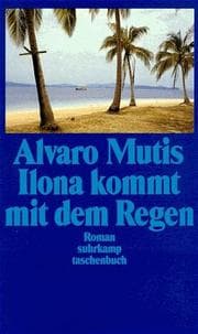 Cover von Ilona kommt mit dem Regen