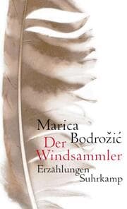 Cover von Der Windsammler