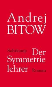 Cover von Der Symmetrielehrer