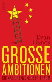 Cover von Große Ambitionen