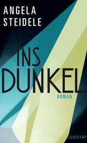Cover von Ins Dunkel