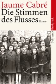 Cover von Die Stimmen des Flusses