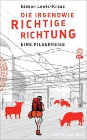 Cover von Die irgendwie richtige Richtung