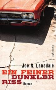 Cover von Ein feiner dunkler Riss