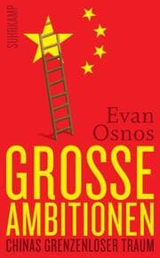 Cover von Große Ambitionen