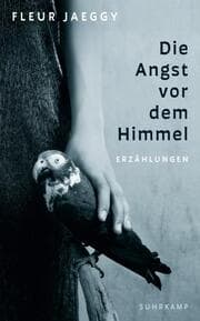 Cover von Die Angst vor dem Himmel