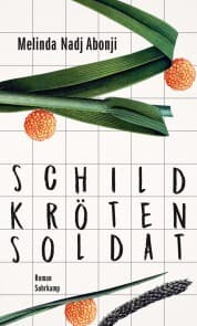 Cover von Schildkrötensoldat