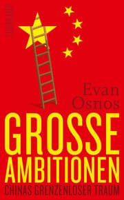 Cover von Große Ambitionen