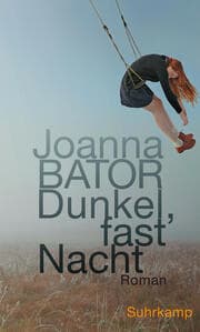Cover von Dunkel, fast Nacht