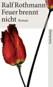 Cover von Feuer brennt nicht