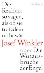 Cover von Die Realität so sagen, als ob sie trotzdem nicht wär oder Die Wutausbrüche der Engel