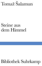 Cover von Steine aus dem Himmel