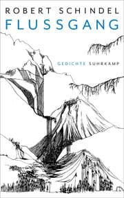 Cover von Flussgang