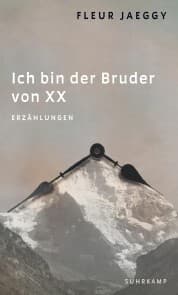 Cover von Ich bin der Bruder von XX