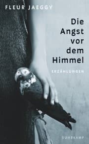 Cover von Die Angst vor dem Himmel