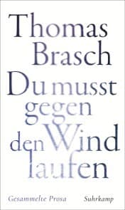 Cover von »Du mußt gegen den Wind laufen«