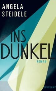 Cover von Ins Dunkel