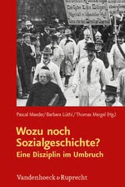 Cover von Wozu noch Sozialgeschichte?