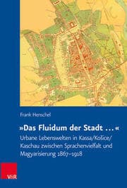 Cover von 'Das Fluidum der Stadt '