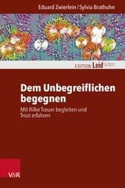 Cover von Dem Unbegreiflichen begegnen
