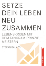 Cover von Setze dein Leben neu zusammen