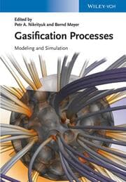 Cover von Gasification Processes