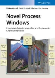 Cover von Novel Process Windows