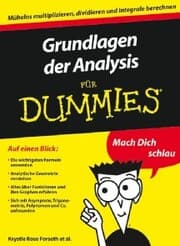 Cover von Grundlagen der Analysis für Dummies