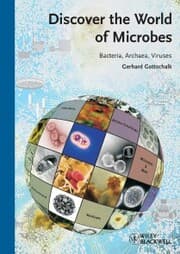 Cover von Discover the World of Microbes