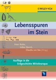 Cover von Lebensspuren im Stein
