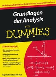 Cover von Grundlagen der Analysis für Dummies