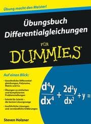 Cover von Übungsbuch Differentialgleichungen für Dummies