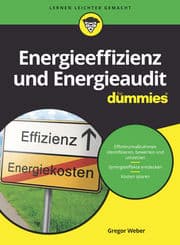 Cover von Energieeffizienz und Energieaudit für Dummies
