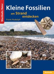 Cover von Kleine Fossilien am Strand entdecken